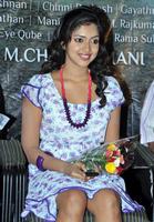Amala Paul Stills